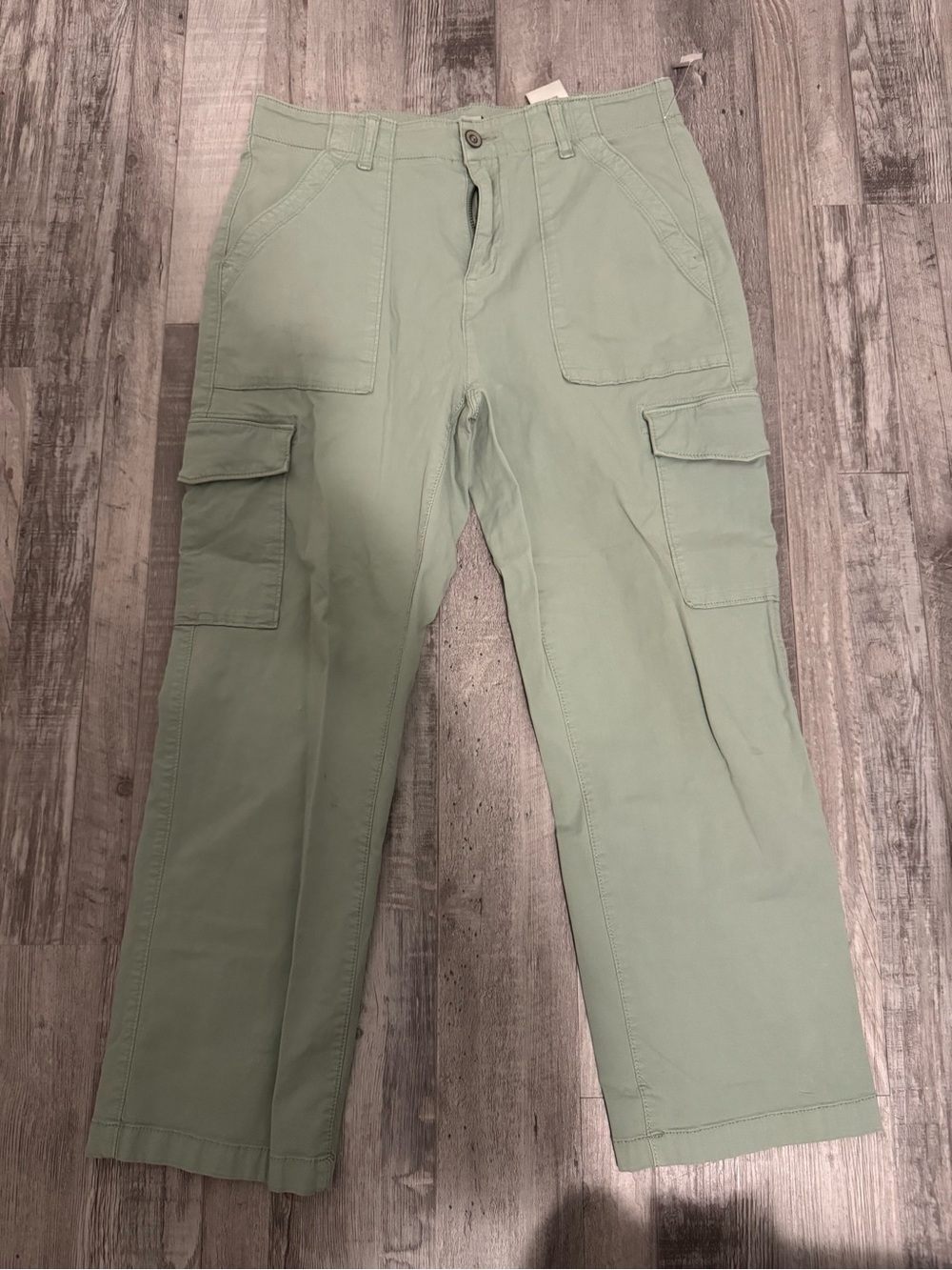 Denver Hayes Women's Cargo Pants in Light Sage fits like Medium